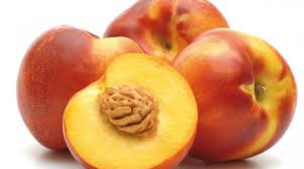 Yellow Nectarine