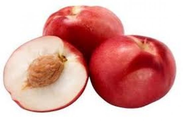 White Nectarine
