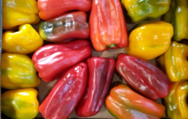 Mix bell pepper
