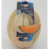 Italian High Quality Melon