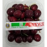 Vignola Cherries P.G.I.