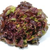 Red Oak Salad - 400gr