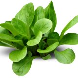 Valeriana Salad