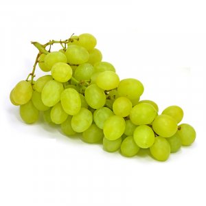 Vittoria White Grape