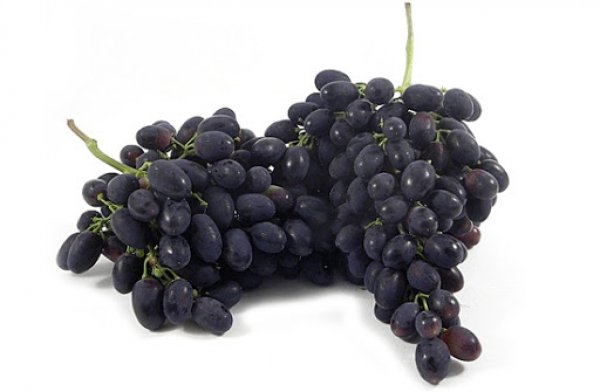 Sicilian Black Grape