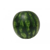 First Mini Anguria - Watermelon 2Kg