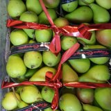 Etruscan Pears
