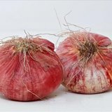 Acquaviva Red Onion