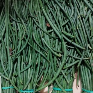 Stringa Beans 200gr