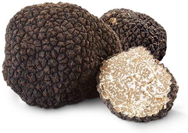 Fresh Summer Black Truffle - Extra Quality