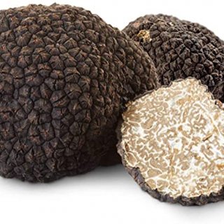 Fresh Summer Black Truffle - Extra Quality