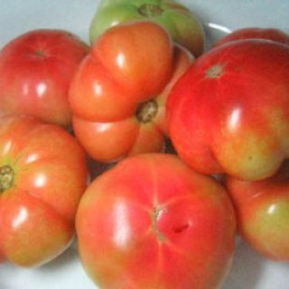 Sorrento Ox Heart Tomatoes