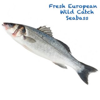 Fresh Wild Catch Seabass