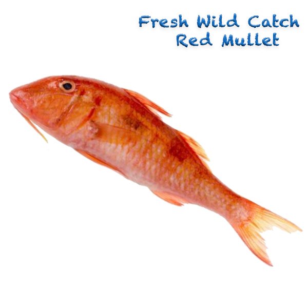 Wild Catch Red Mullet