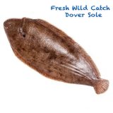 Fresh Wild Catch Dover Sole