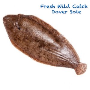 Wild Catch Dover Sole