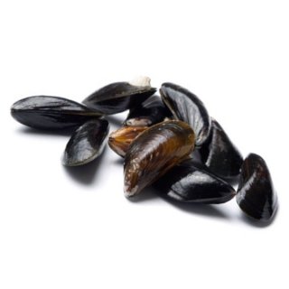 Cozze Fresche