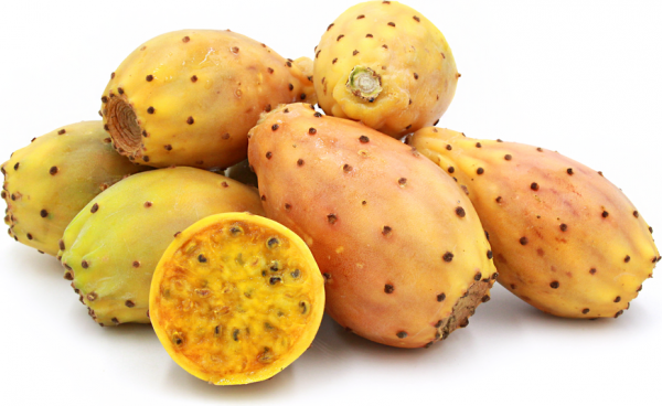 Prickly Pear