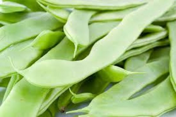 Green Coral Beans