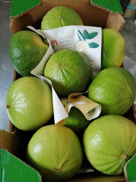Bergamot