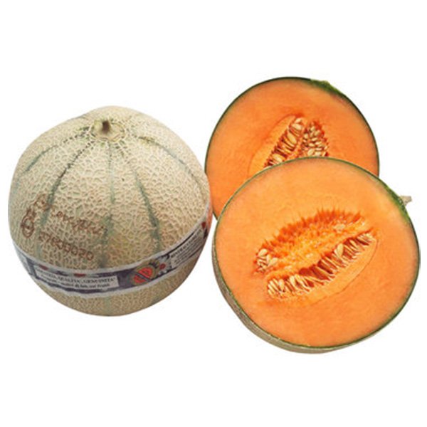 Netted Melon Lorenzini Signature