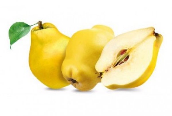 Quince - Mela Cotogna