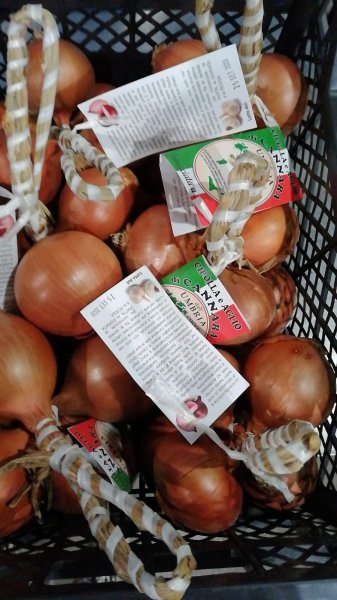 Cannara Golden Onions