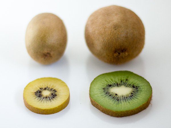 Top Quality Duo Kiwi Golden and Green 120-140gr each