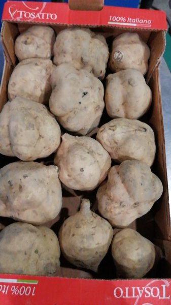 Veneto Sweet Potatoes 