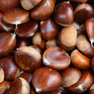 Fresh Piedmont Chestnut "Marroni"