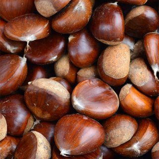 Fresh Piedmont Chestnut "Marroni"