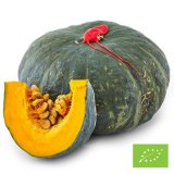 Organic Delica Pumpkin