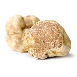 Fresh Alba White Truffle 8-20gr