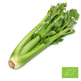 Organic Italian Celery