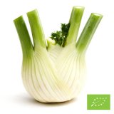 Organic Fennel Bulb