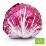 Organic Radicchio di Chioggia