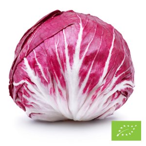 Organic Radicchio di Chioggia