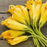 Zucchini Flower