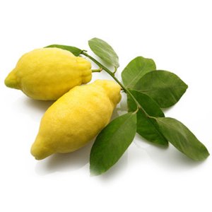 Amalfi Lemons