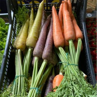 Multicolor carrots with tuft