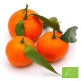 Rustic Organic Sicilian Clementine