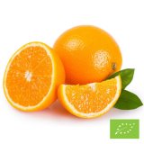 Organic Sicilian Navel Orange