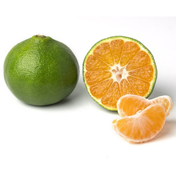 Clementine Miyagawa from Sicily