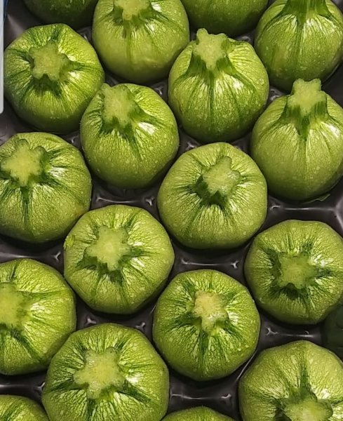 Round Zucchini