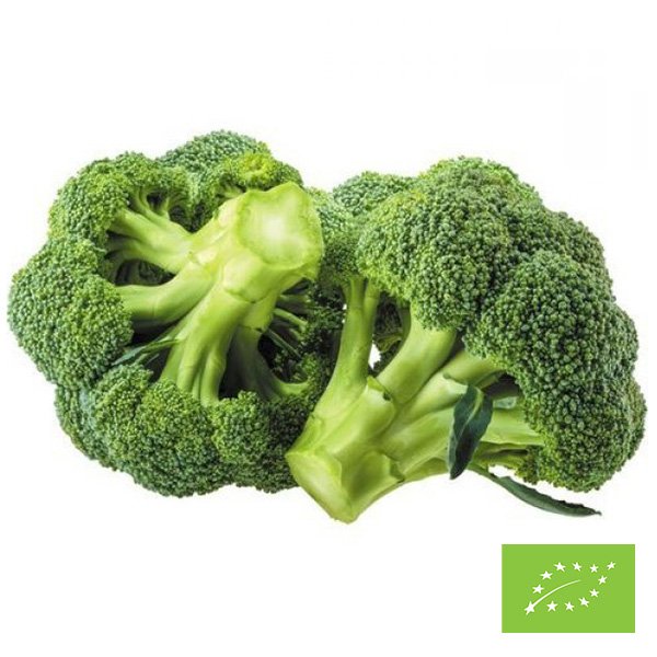 Organic Green Broccoli