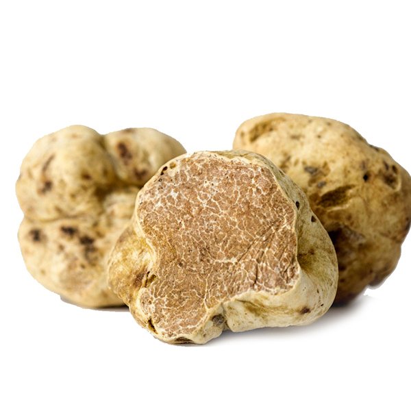 Fresh Alba White Truffle 40100gr