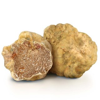 Fresh Alba White Truffle 40-80gr