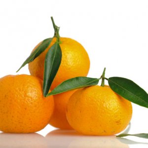 Sicilian Mandarin Orange