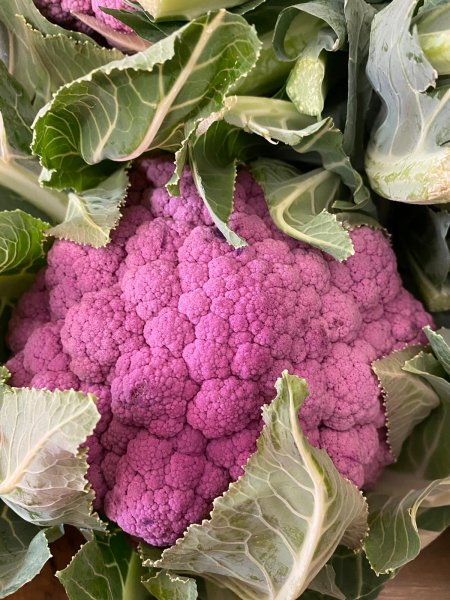 Purple Cauliflower