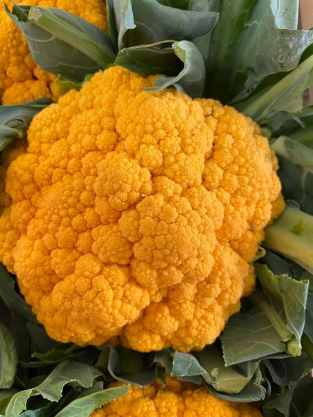 Orange Cauliflower